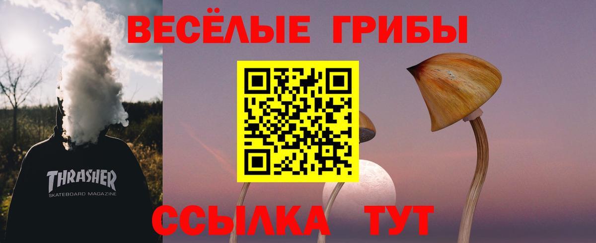 Галлюциногенные грибы мицелий  Вход с VPN  Кисловодск 